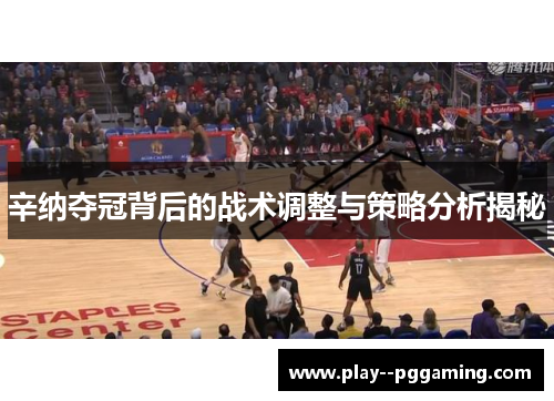辛纳夺冠背后的战术调整与策略分析揭秘