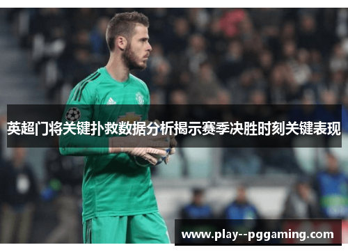 英超门将关键扑救数据分析揭示赛季决胜时刻关键表现